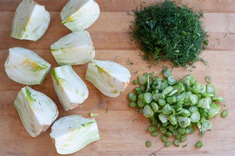 frond photo|what are fennel fronds picture.